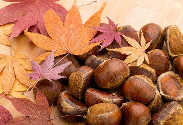 Similar image 6144504