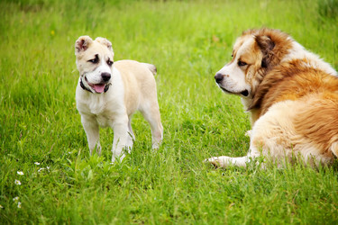 Similar image 6145055