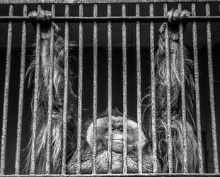 Similar image 6145071