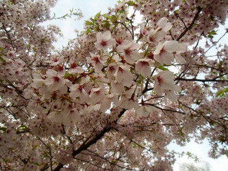 Similar image 6145247