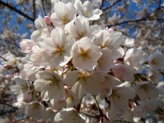 Similar image 6145248