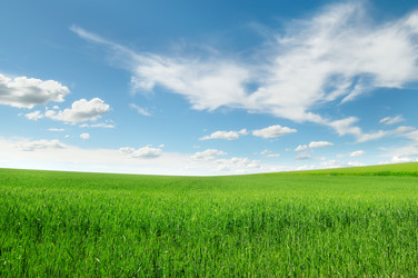 Similar image 6145366