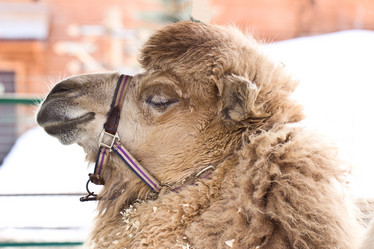 Similar image 6145892