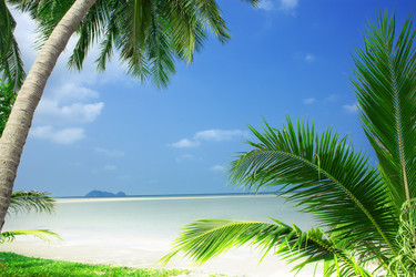 Similar image 6146671