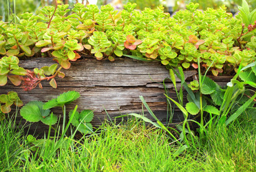 Similar image 6146699