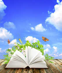 Similar image 6146700