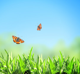 Similar image 6146715