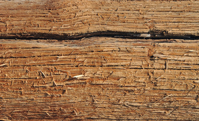 Similar image 6146750