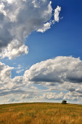 Similar image 6146751