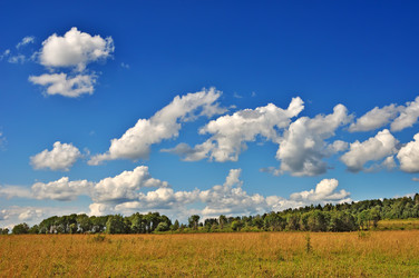 Similar image 6146752