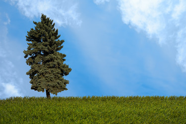 Similar image 6146982