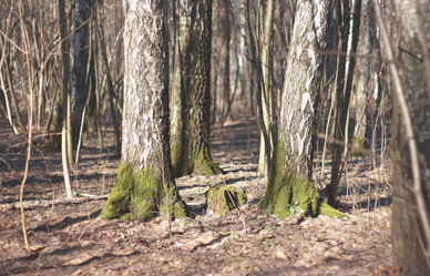 Similar image 6146986