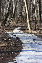 Similar image 6146987