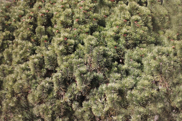 Similar image 6146989