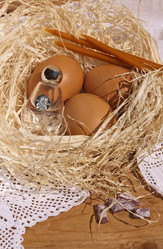 Similar image 6147027