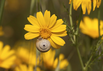 Similar image 6147031