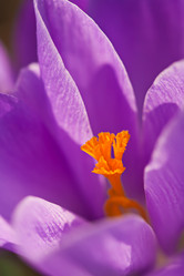 Similar image 6147074