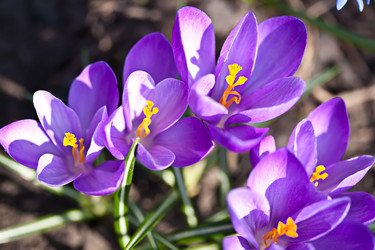 Similar image 6147081