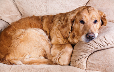 Similar image 6147095