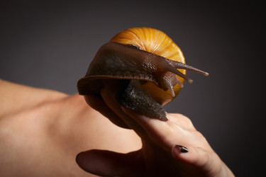 Similar image 6147162