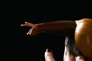 Similar image 6147174