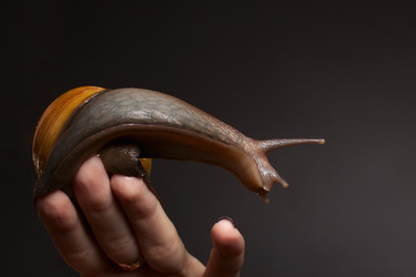 Similar image 6147175