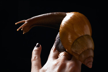 Similar image 6147176