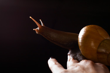 Similar image 6147178