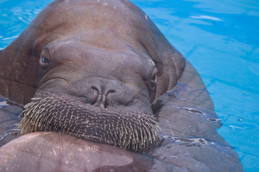 Similar image 6147198