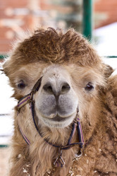 Similar image 6147199