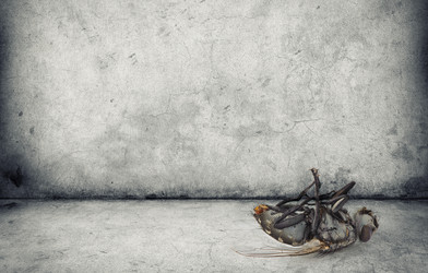 Similar image 6147289