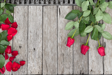 Similar image 6147584