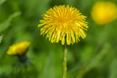 Similar image 6147585