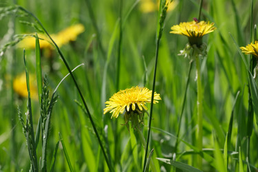 Similar image 6147586