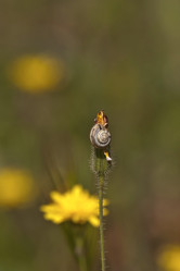 Similar image 6147610