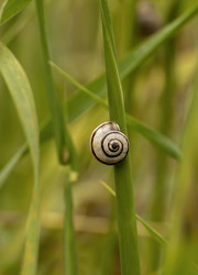 Similar image 6147611