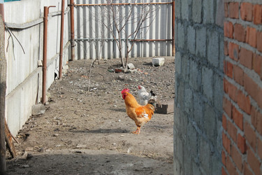 Similar image 6147671