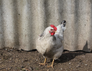 Similar image 6147744