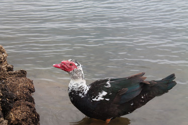 Similar image 6147745