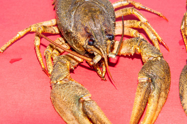 Similar image 6147949