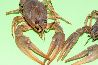 Similar image 6147969