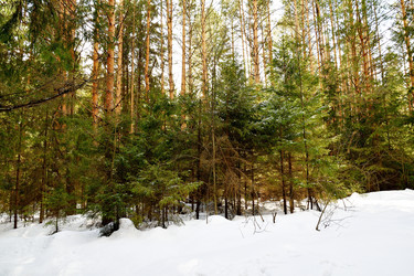 Similar image 6148012