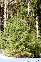 Similar image 6148013