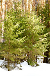 Similar image 6148014