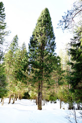 Similar image 6148015