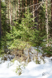 Similar image 6148017