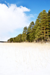 Similar image 6148022