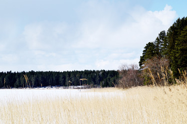 Similar image 6148027