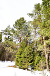 Similar image 6148031