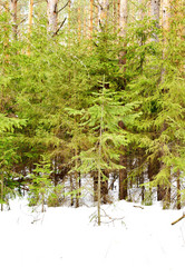 Similar image 6148032